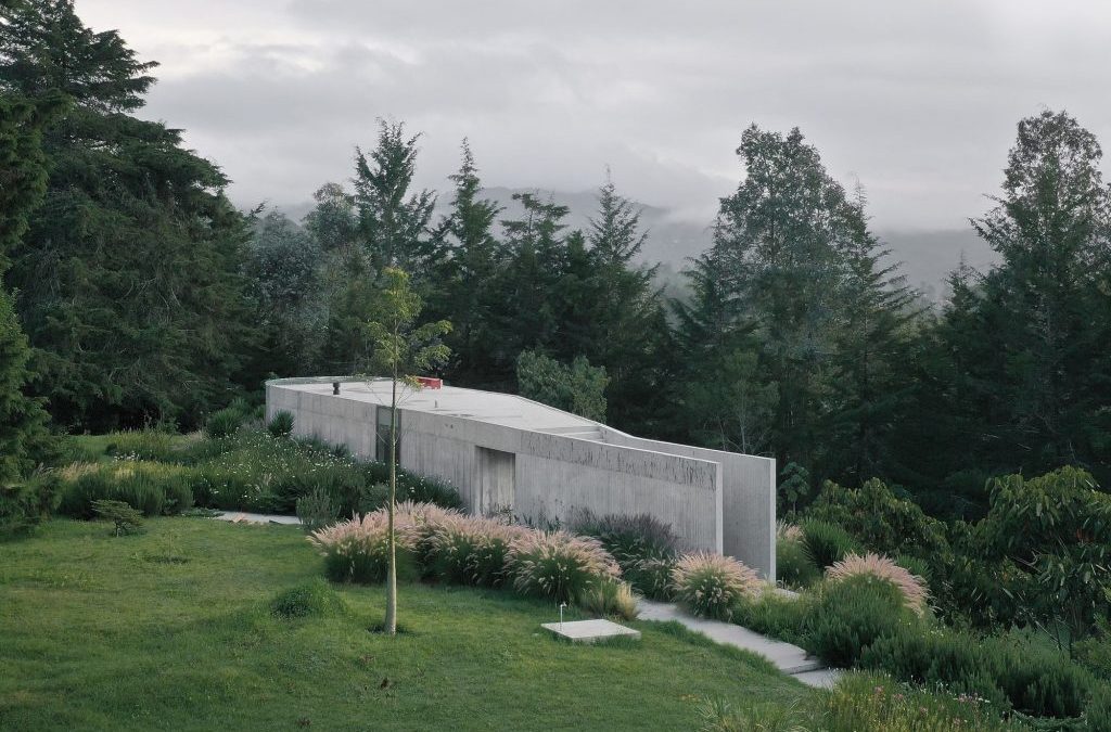 El listado anual de los nuevos perfiles de la arquitectura, el diseño y el paisajismo según Architectural Digest México y Latinoamérica